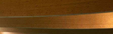 Reprezentační tým juniorů 2020